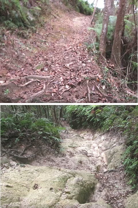 安佐北区 高陽 登山 空手