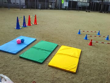 保育園 体操教室 ボール運動遊び2019-1-8