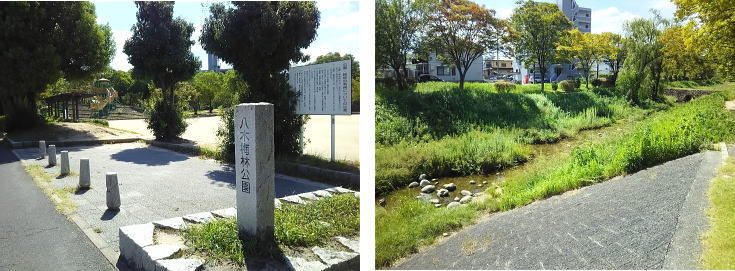 安佐南区 八木梅林公園 空手教室 行事