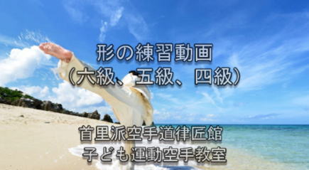 空手の形 DVD 小学生向け