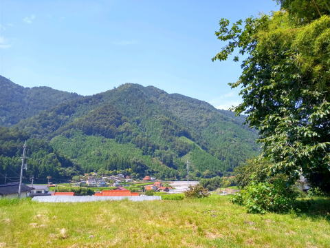 安佐南区 沼田町 戸山 森のようちえん お散歩会