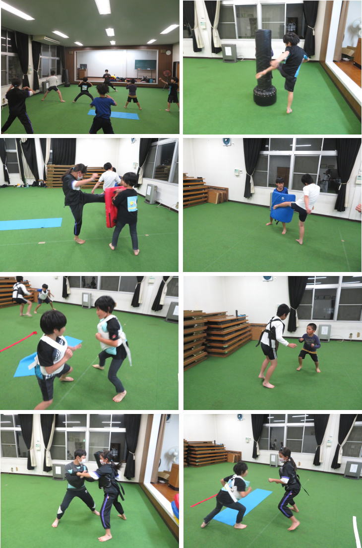 空手 組手 ミット
