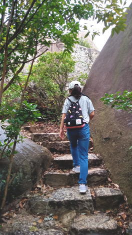 宮島 弥山 こども 登山