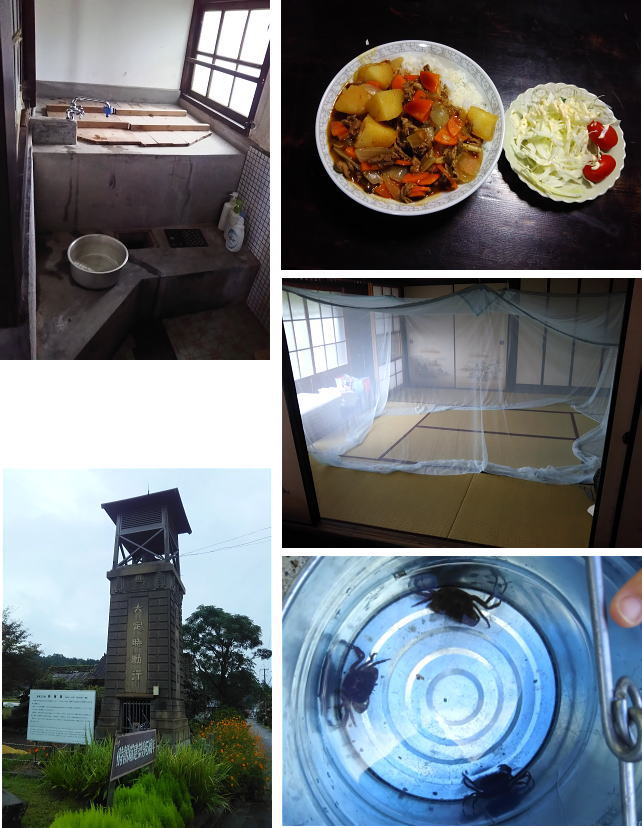 ホタルの宿自然学校 空手教室の合宿稽古計画中1