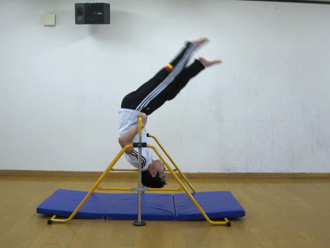 幼児体育 運動遊び 鉄棒 逆上がり 認定こども園