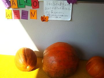 保育園 ハローウィン かぼちゃ