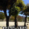 保育園 体操教室 自然の木を使って遊ぶ