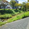 広島市安佐南区 梅林公園