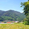 安佐南区 戸山 森のようちえん