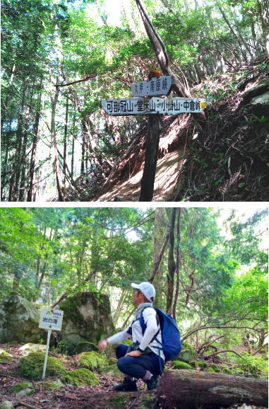 安佐北区 可部 冠山 堂床山