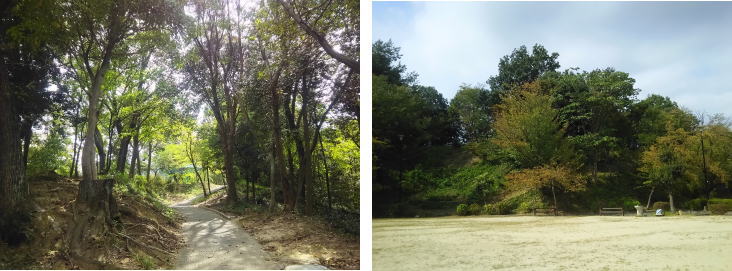 広島市安佐北区 口田 矢口が丘公園