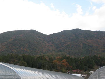 安佐北区 三田地域 紅葉