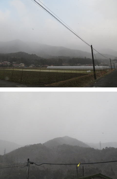 安佐北区 三田 雪