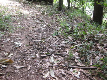 里山のでこぼこ道