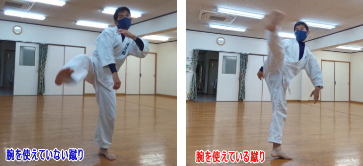 空手 回し蹴り