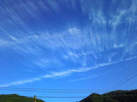 三田空手教室 すばらしい青空